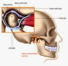 As 7 Maiores Dúvidas Sobre Articulação Têmporo-Mandibular